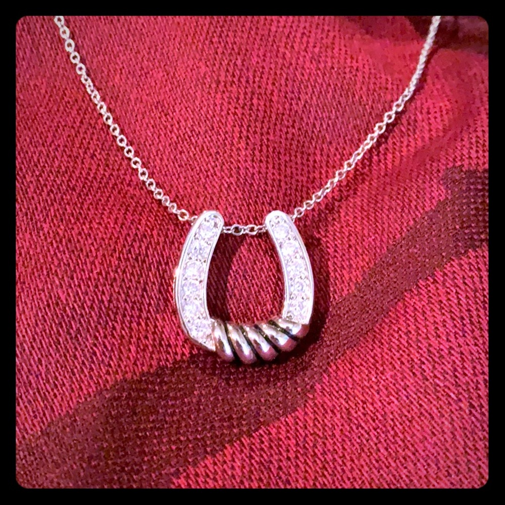 Montana Silversmith Twisting Horseshoe Necklace